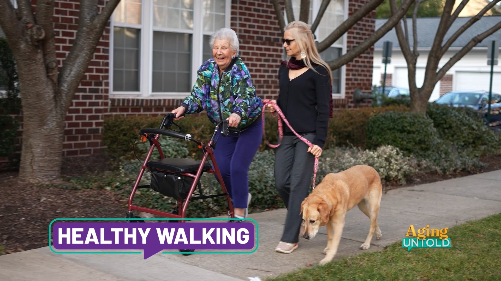 St. Louis Discussion Highlights Walking and Mobility Aids in Healthy Aging