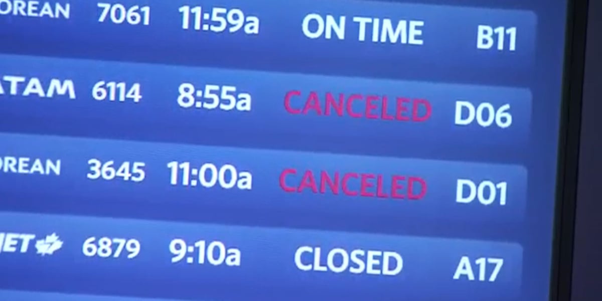 Flight Status Landed Check your flight status