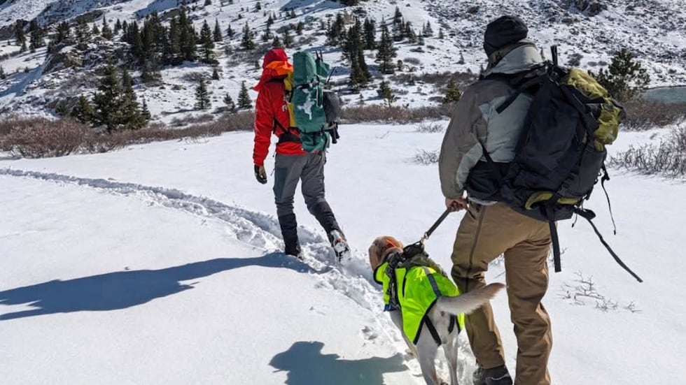 This image provided by Chaffee County Sheriff's Office shows a volunteers with a search dog ...