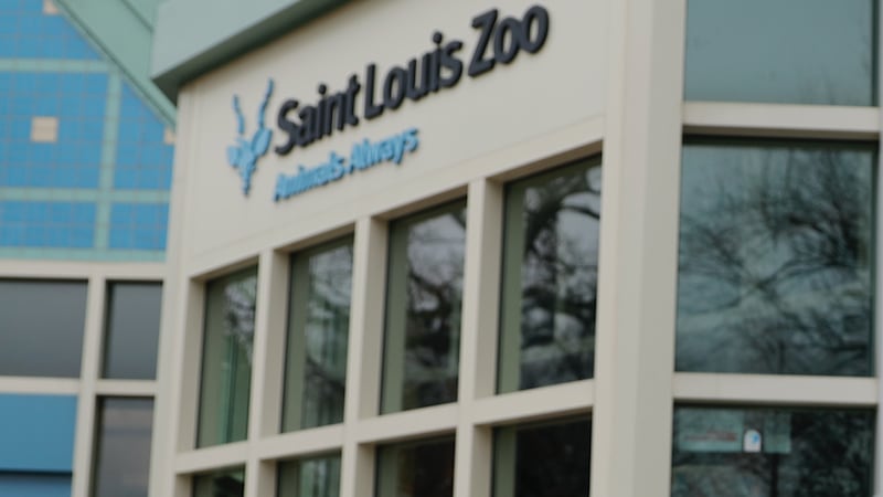 St. Louis Zoo (AP Photo/Jeff Roberson)