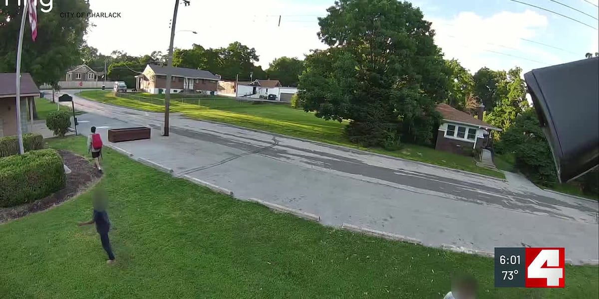 Surveillance video catches vandals damaging St. Louis County park