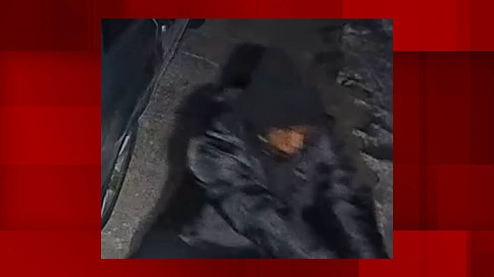 Police are looking for a suspect in a Collinsville homicide.