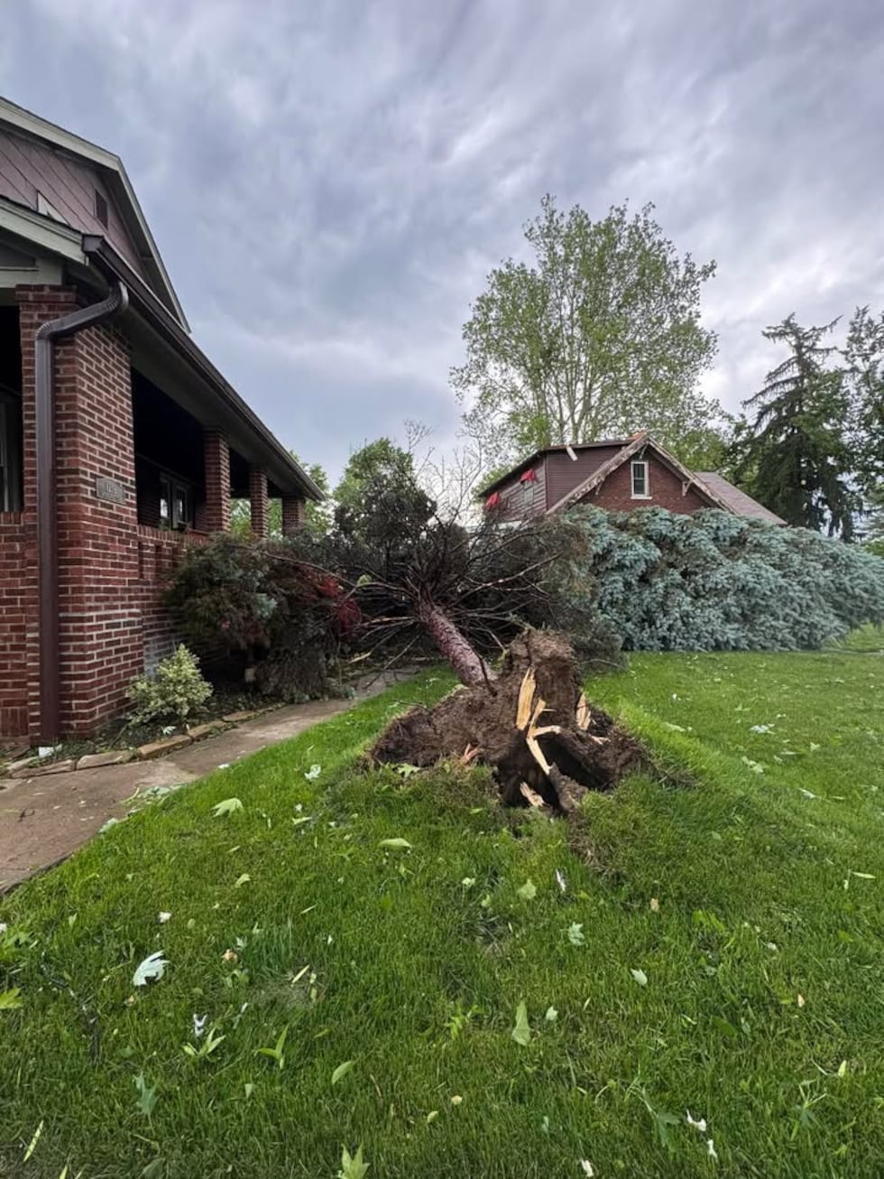 A large tree toppled over in Richmond Heights following the strong storms Friday, May 16, 2025.