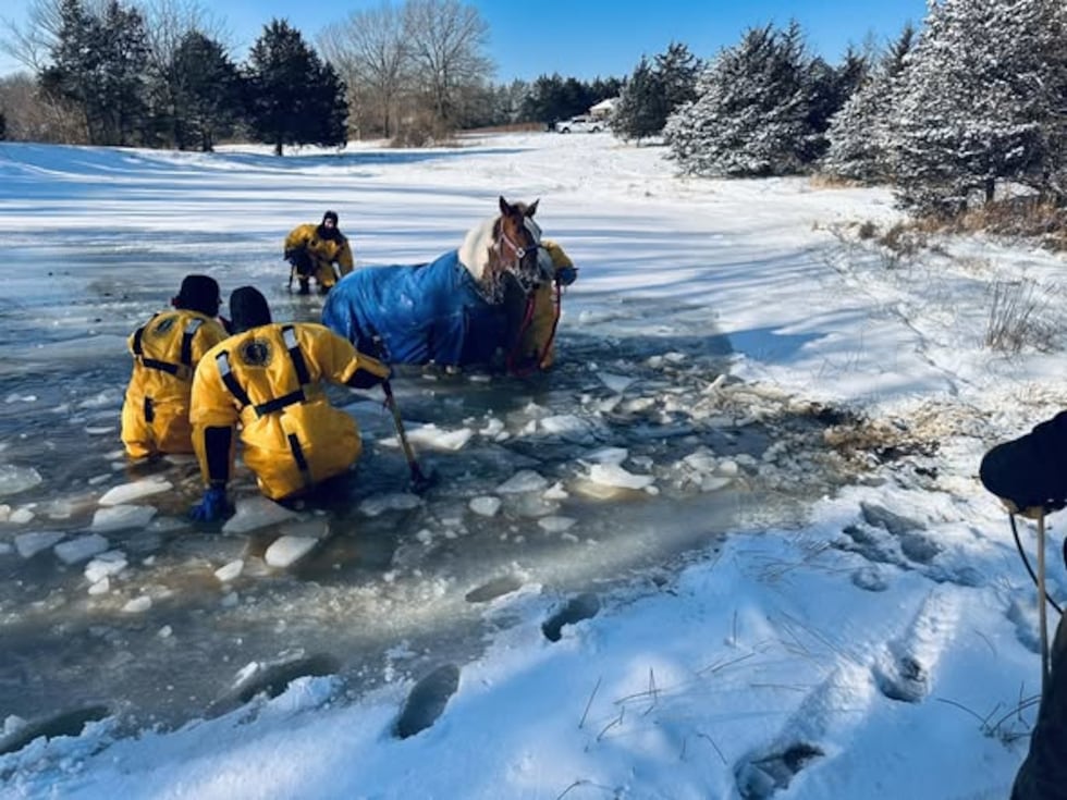 Two horses were rescued Monday morning from an icy pond in Cuba, MO.