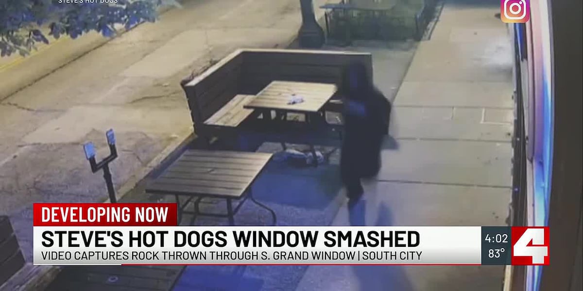 Search on for suspect who smashed window at Steve’s Hot Dogs 2 days in ...