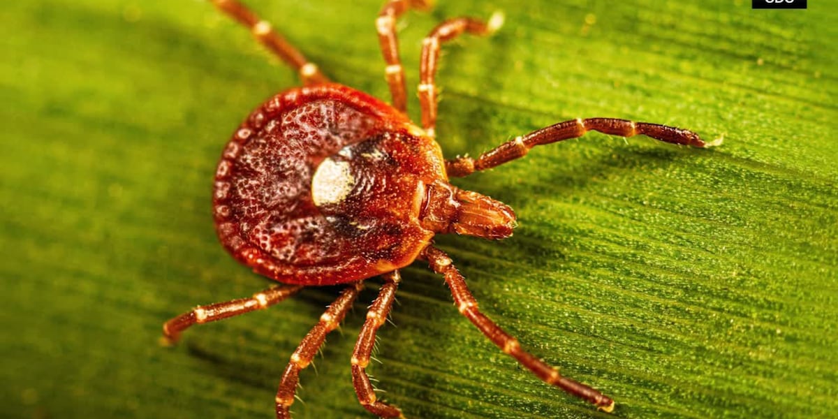 Man believed to be first reported death linked to red meat allergy ...