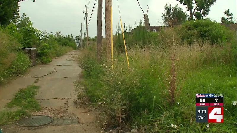 St. Louis woman says overgrown city-owned lots make it unsafe to leave her home