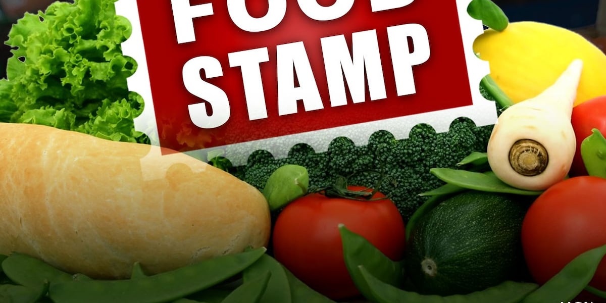Missouri's food stamps program was unlawfully inaccessible, federal ...