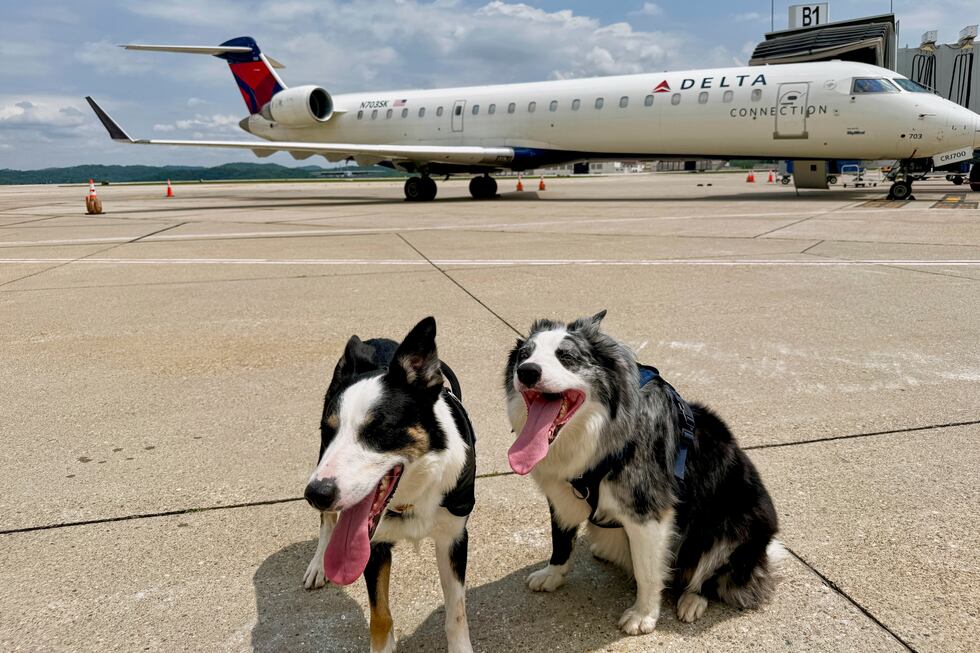 Ned and Hercules are seen Thursday, May 15, 2025, at West Virginia International Yeager...
