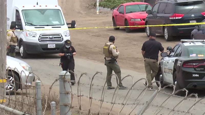 An investigation is underway after multiple sets of human remains, including those of a baby,...