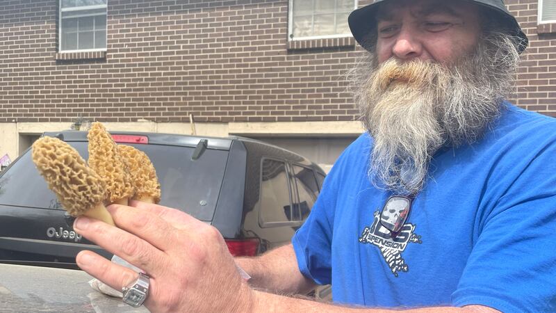 Josh Shearer shares his collection of mushrooms with KCTV5 on April 10, 2024.
