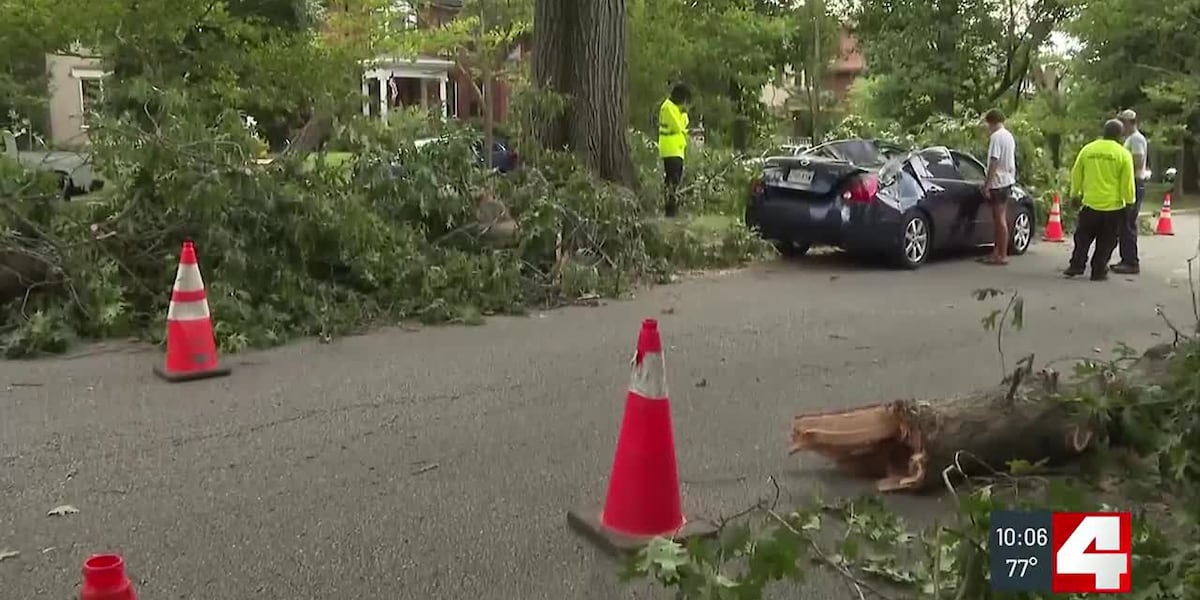 Two cars heavily damaged by fallen tree limb in Shaw