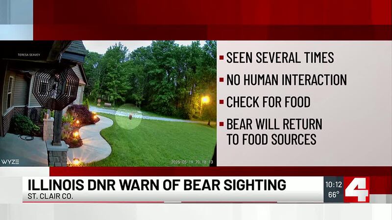 Be Bear Aware: 2 bears spotted in St. Louis metro area