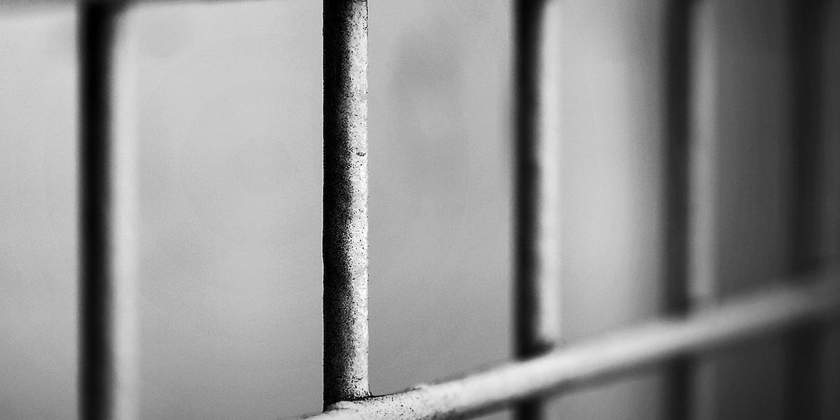Oklahoma man charged with slew of animal abuse charges after bringing 4 dogs to St. Louis crematorium Oklahoma man charged with slew of animal abuse charges after bringing 4 dogs to St. Louis crematorium