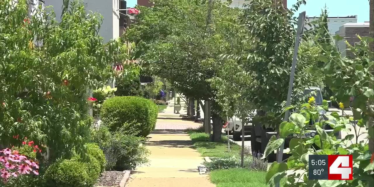 South City alderman plants hundreds of trees in ward