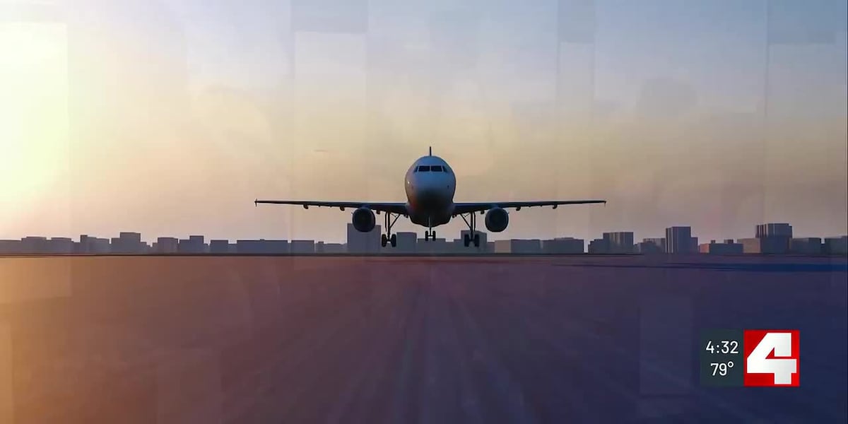 Is National Cheap Flight Day real? Tips from a travel expert to save money