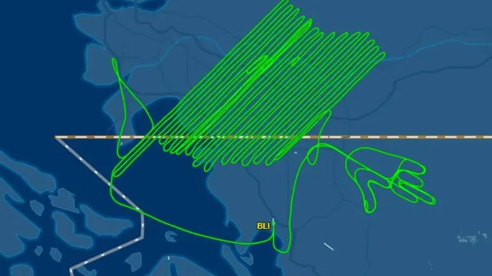 Integrity Flight Path Point taken: Pilot’s unique flight path appears to create a middle finger