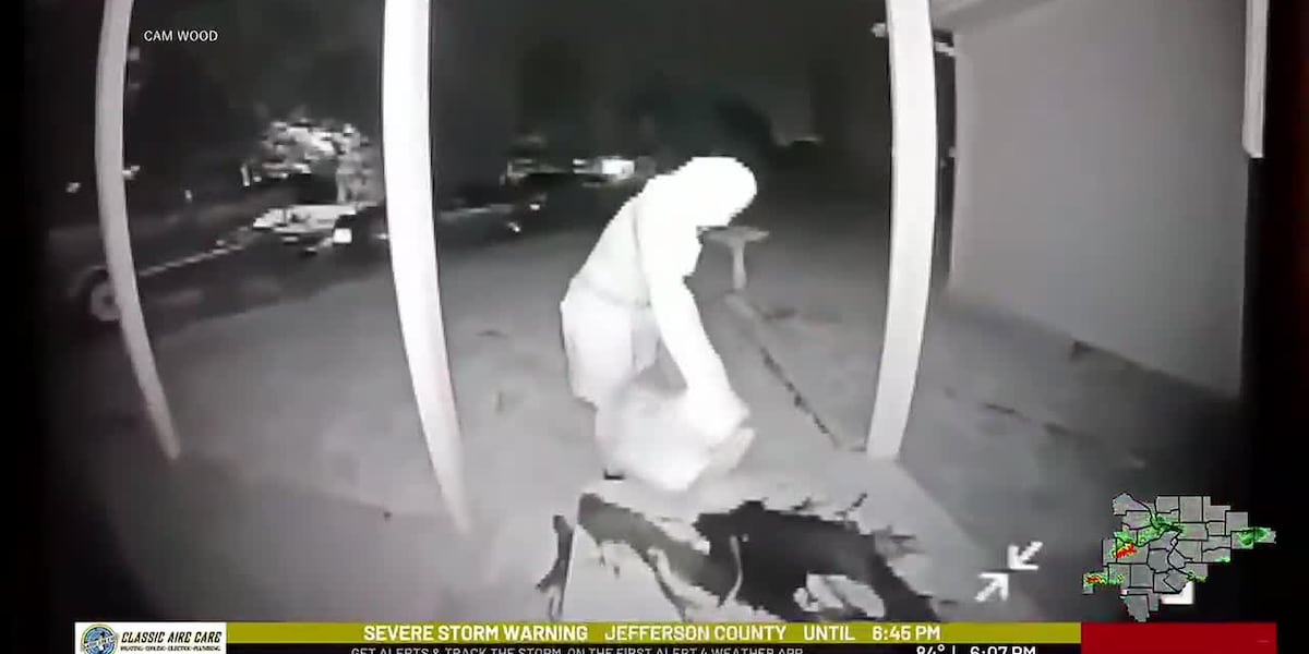 From ‘Kool-Aid challenge' to mailbox bashing: Teen vandals strike Jefferson County