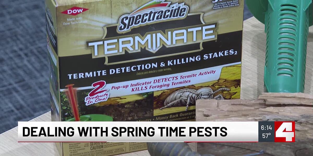 Spring Pest Control Tips