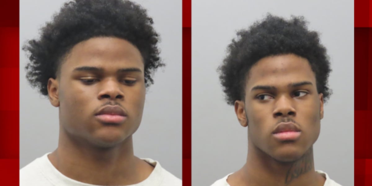 Teen brothers facing murder charges will be tried as adults