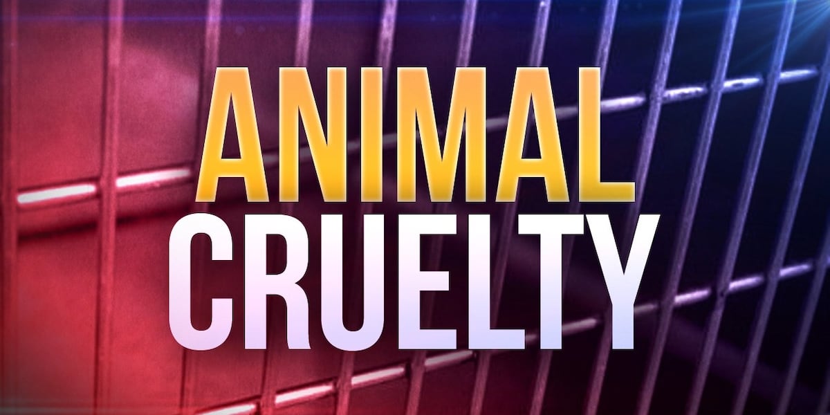 Police: Man arrested, charged after claiming he has ‘the animals’ holy water,’ lighting groundhog on fire