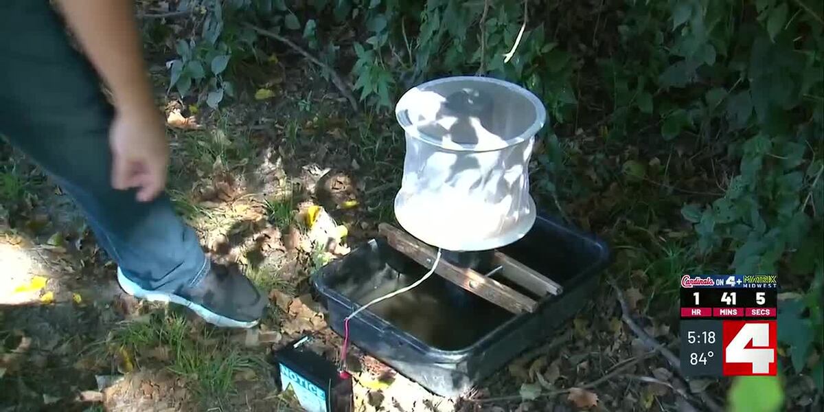 Cardinal Curbing St. Louis County continues efforts to curb spread of West Nile virus