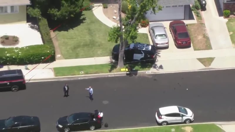 Actor James Handy was stabbed to death in the Los Angeles area on Wednesday.