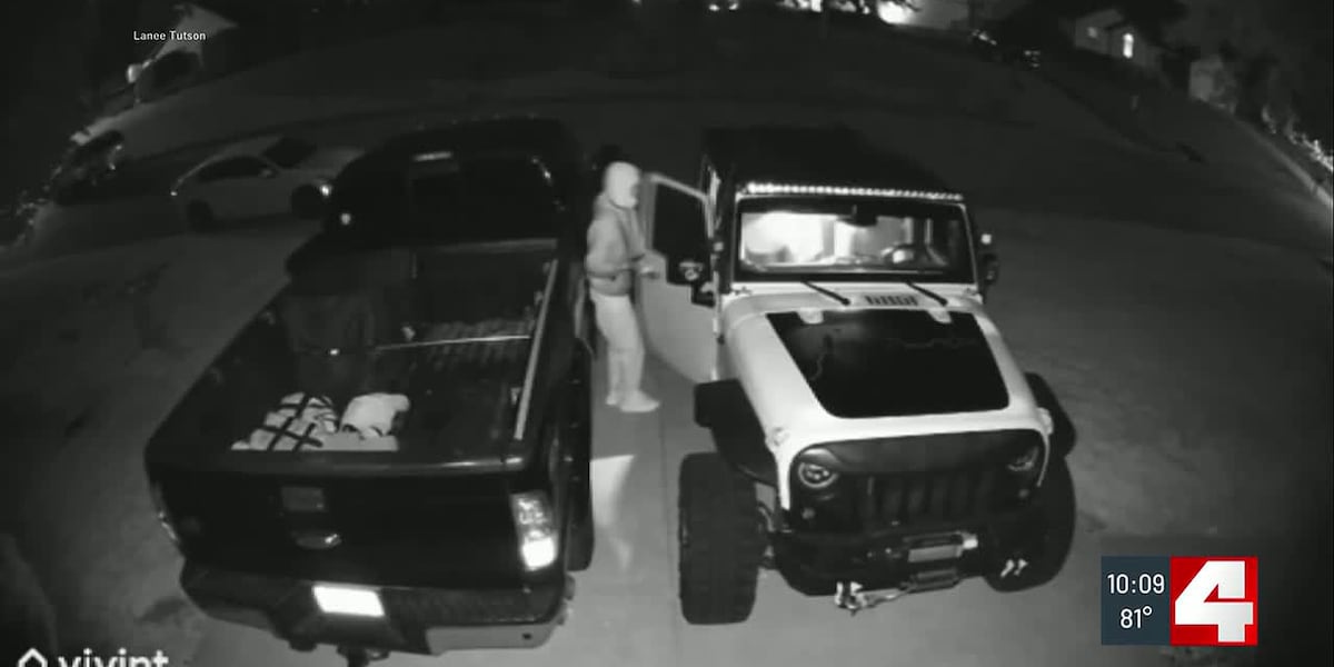 Swansea police report 25 car burglaries, thefts over a week