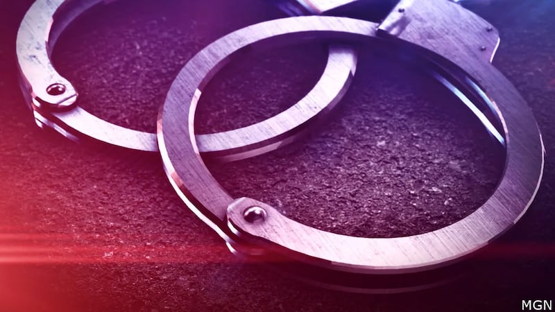 U.S. Immigration and Customs Enforcement (ICE) agents took one person into custody Sunday...