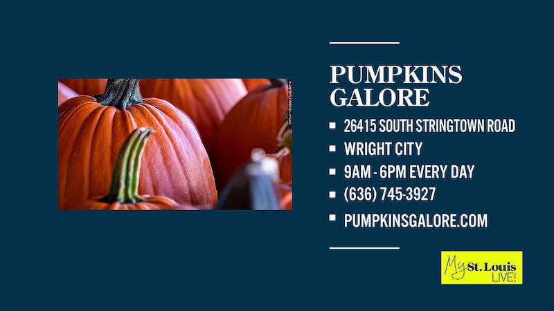 From card-table patch to 30 acres! Paige Hulsey previews Pumpkins Galore in Wright City with...
